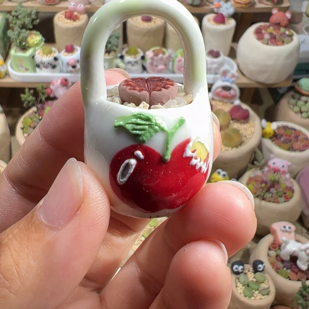 D**宝多肉植物156号拇指盆