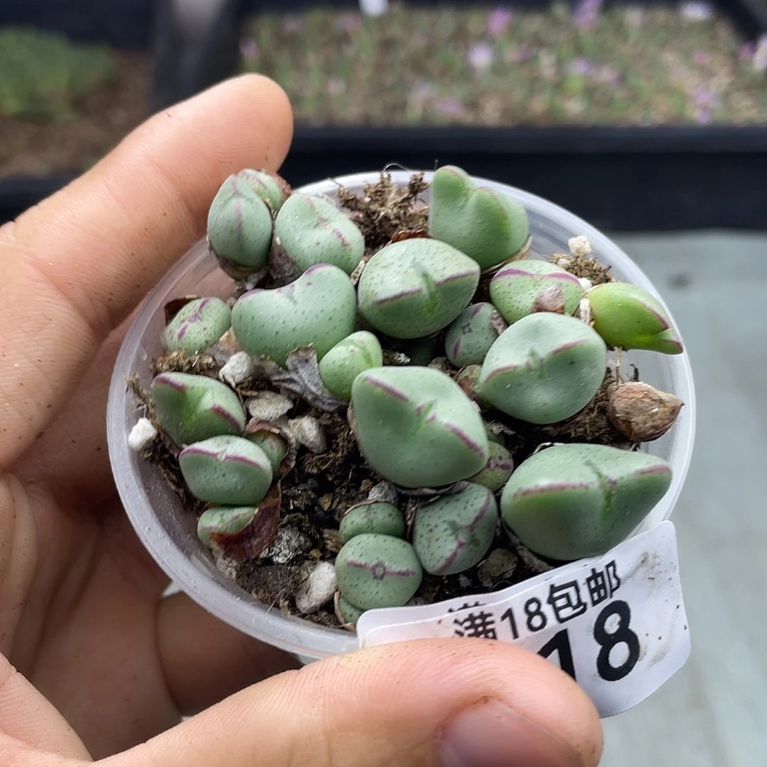 当天凑满十八元包邮618