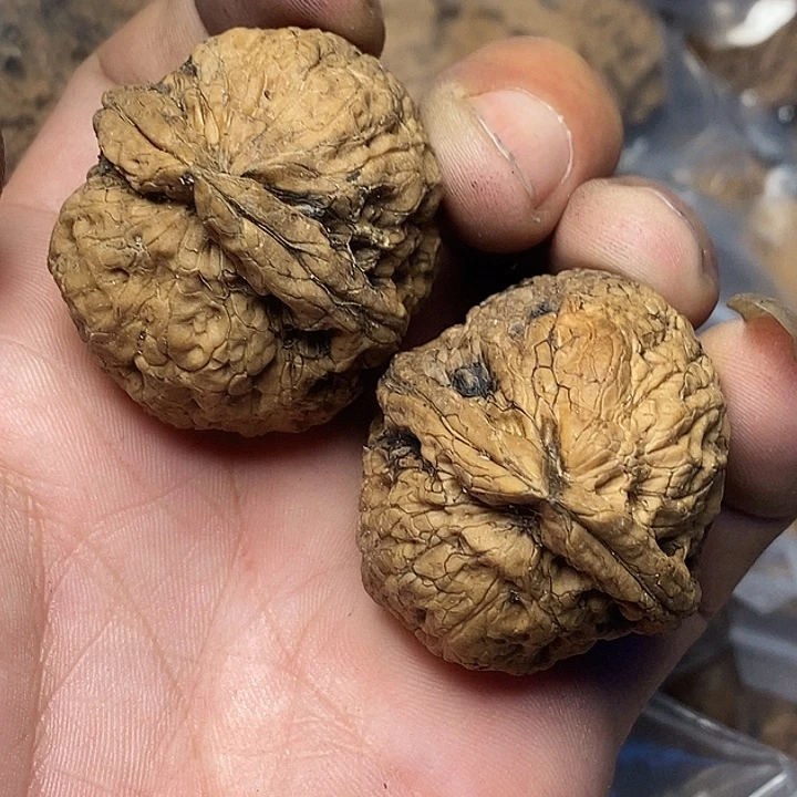 文玩核桃把件云南铁核桃52