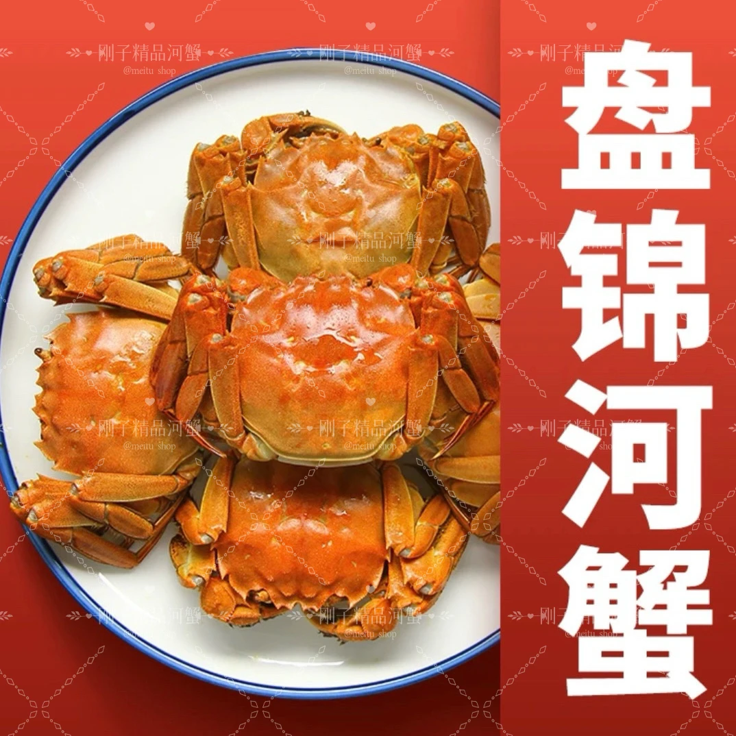 【精品河蟹】 1.6-2.0两母蟹10 只绑腿【顺丰包邮】