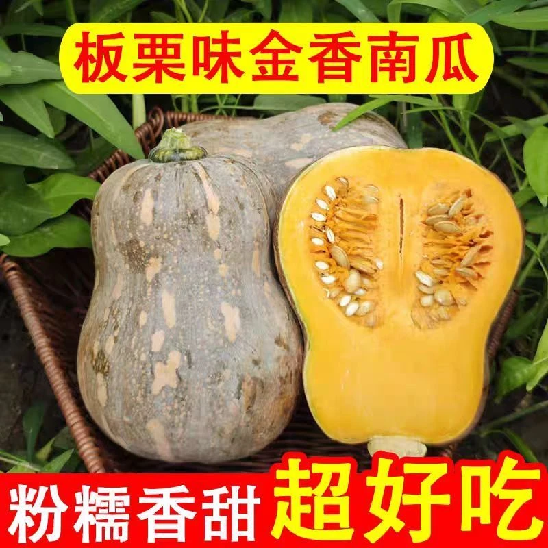 蜜香小南瓜甜糯辅食小金香南瓜花生南瓜老南瓜基地直供软糯香甜