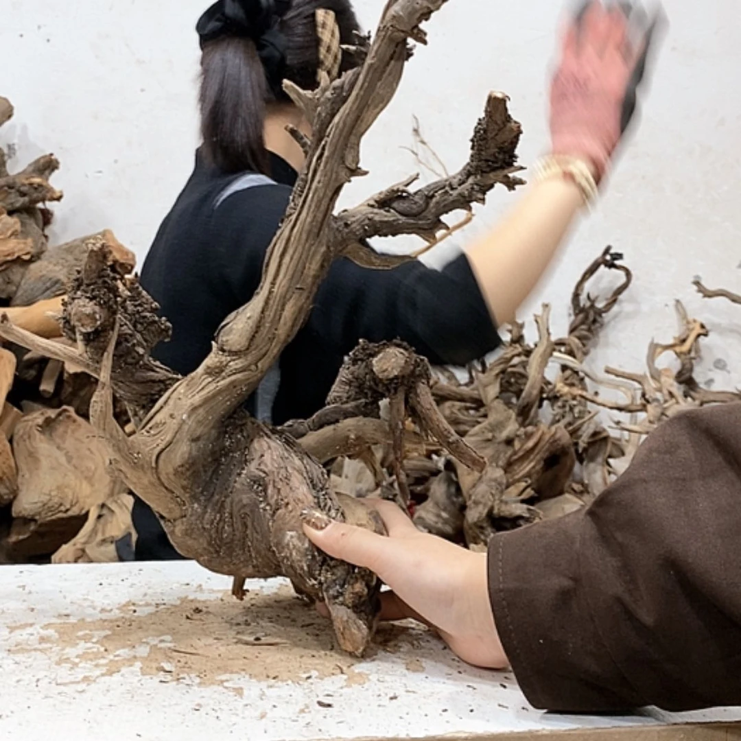 【闪购商品】柏木小**伟我们都是好孩子