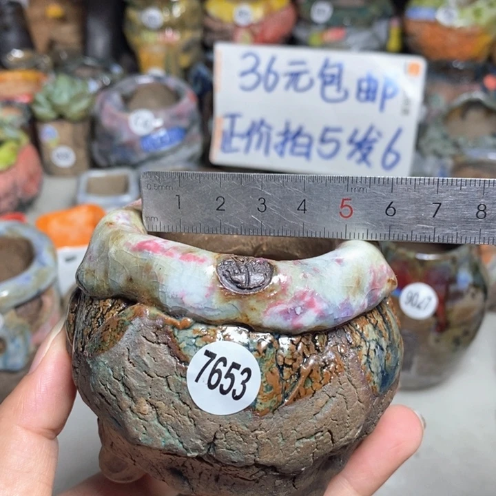 拍3送一个小礼物