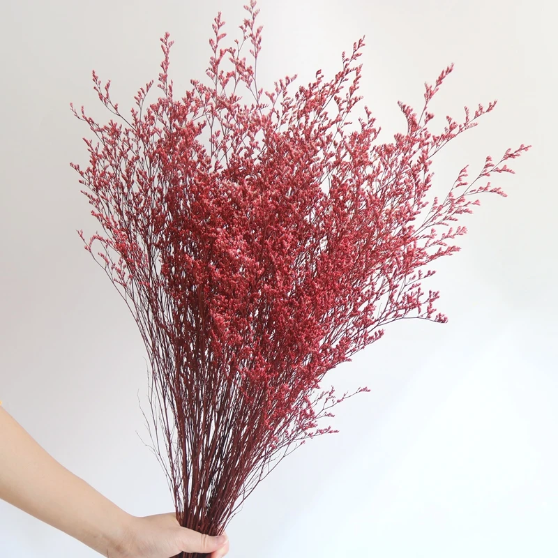 情人草干花花束客厅摆设香薰云南天然风干高级感真花干鲜花永生花