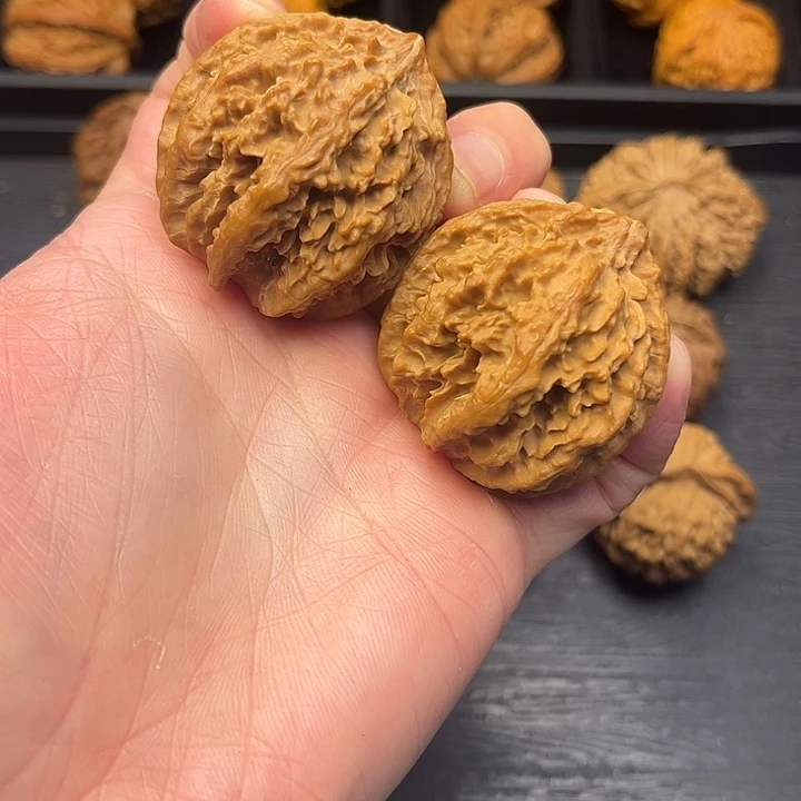 核桃秦岭山脉中段怒江与澜沧江