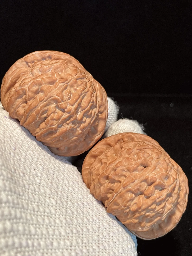 涞水核农一手货源精选闷尖白狮子（头货全品）核王核桃