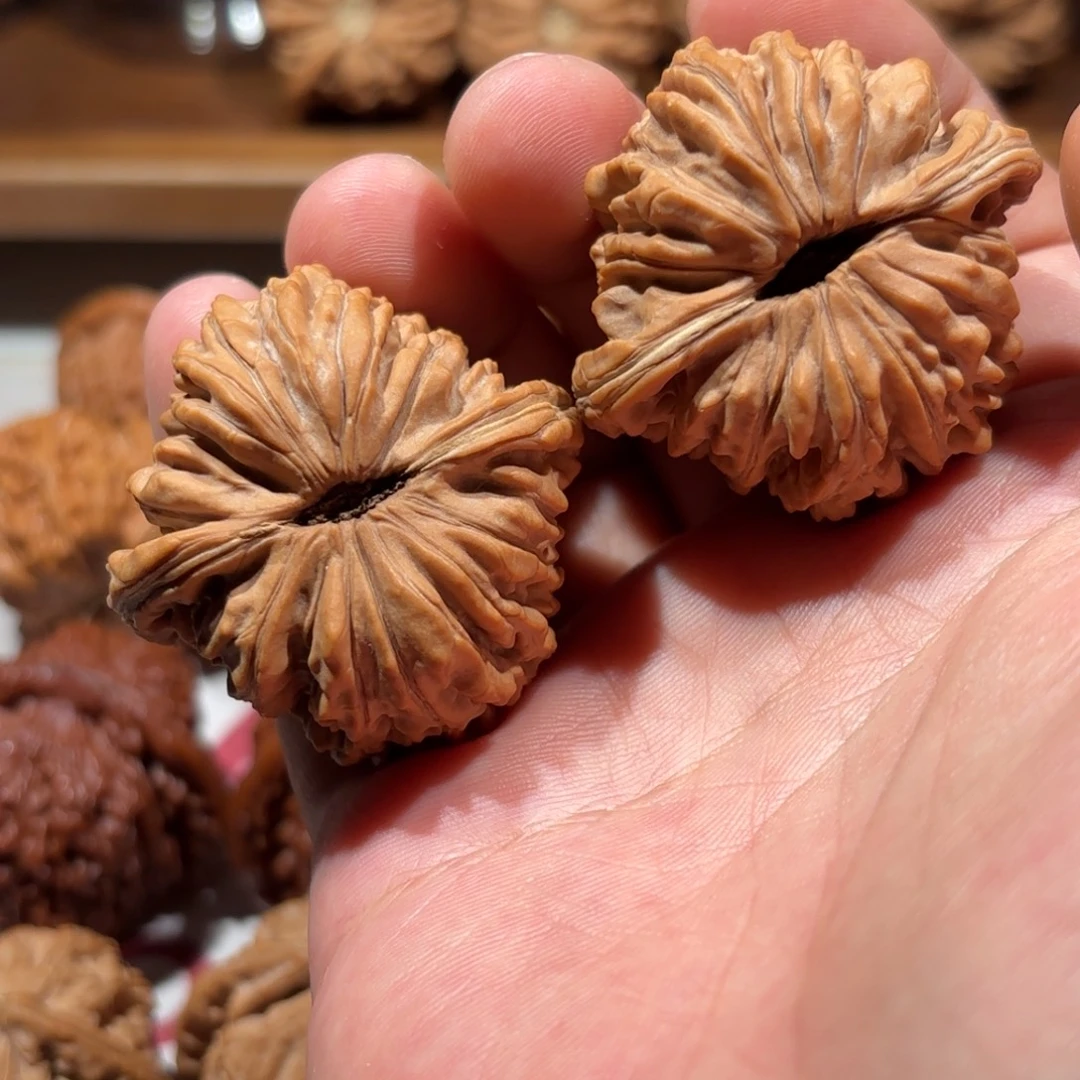 S***正杨系列-正杨楼子