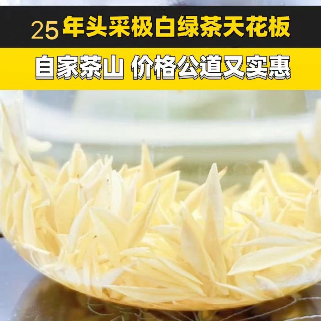 25年新茶极化白奶香熊猫绿茶西坑高山核心产区白化系绿茶送礼茶叶
