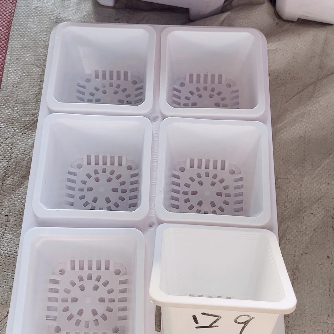 塑料福利款9方白色盆12个盆带2拖架