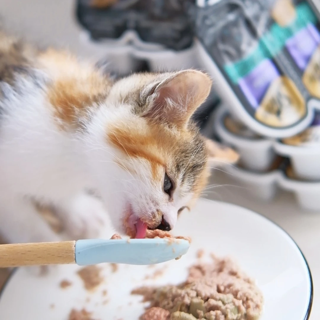 sheba希宝一分为二餐盒75g进口营养主食肉泥成幼猫咪零食湿粮罐头