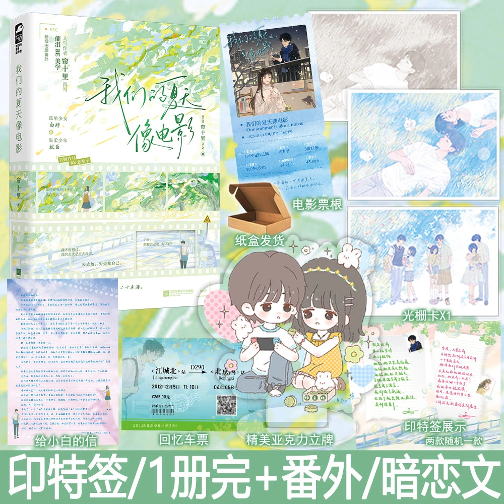 印特签版我们的夏天像电影小说帘十里都市言情青春BE文现言实体书