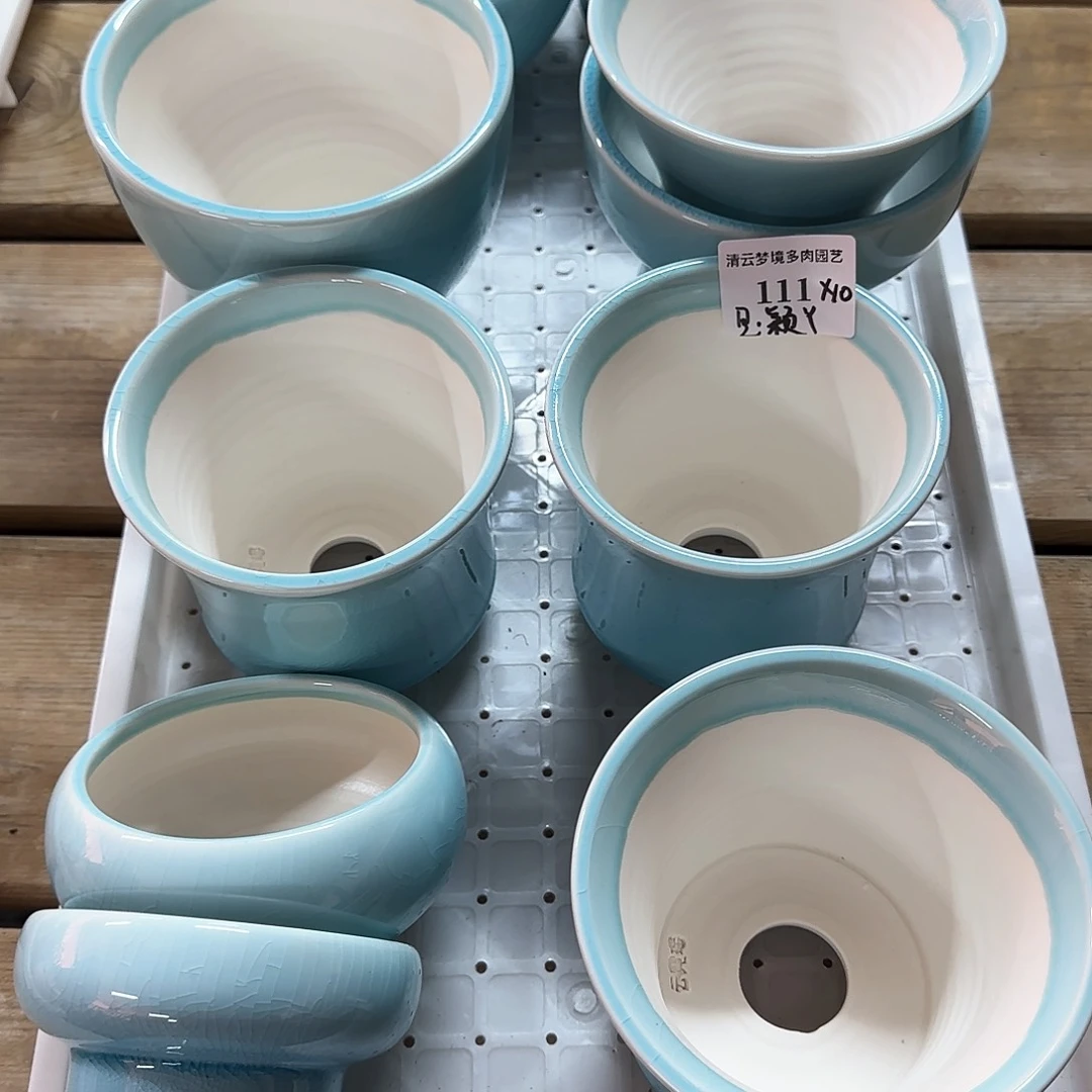 【闪购商品】红陶是*丫颖 111。10个