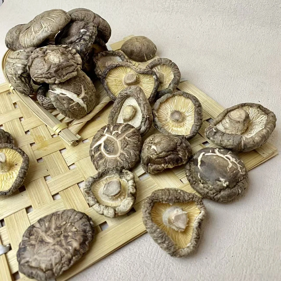 【冬菇】菇肉圆润厚实鲜嫩爽滑花纹明显
