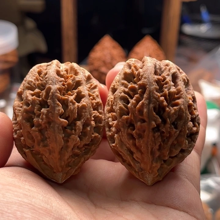 文玩核桃把件楸大胖53