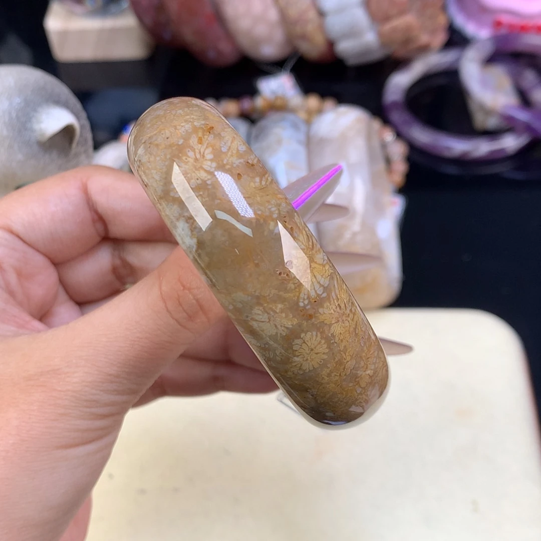 【闪购商品】颈饰未镶嵌硅化珊瑚（珊瑚玉）