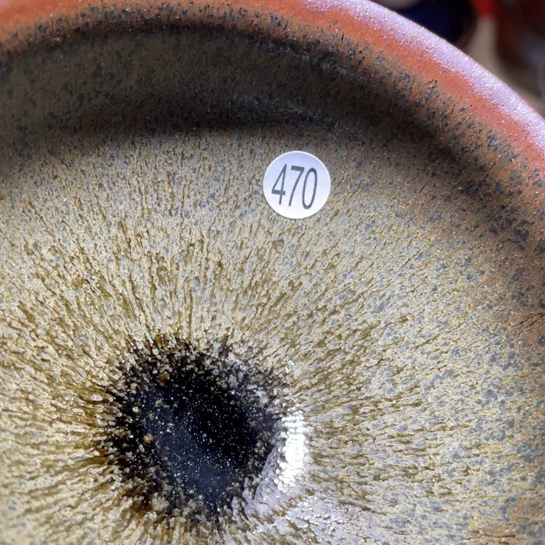 茶盏666666666666666666666