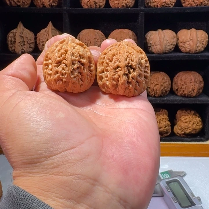 文玩核桃吊坠38大粗筋