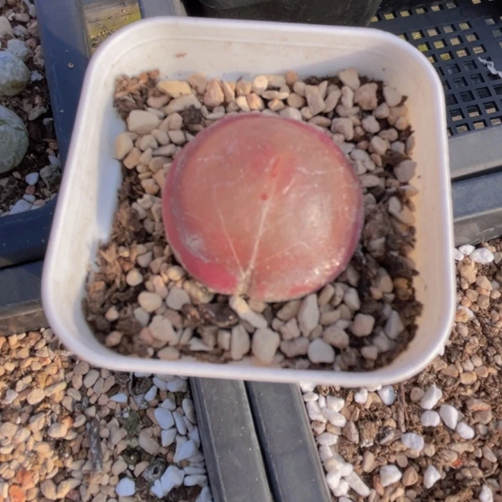 48808888989989888888