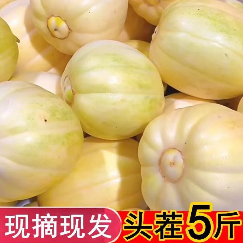 东北香瓜甜瓜5斤新鲜现摘当季时令水果特产小甜瓜现摘