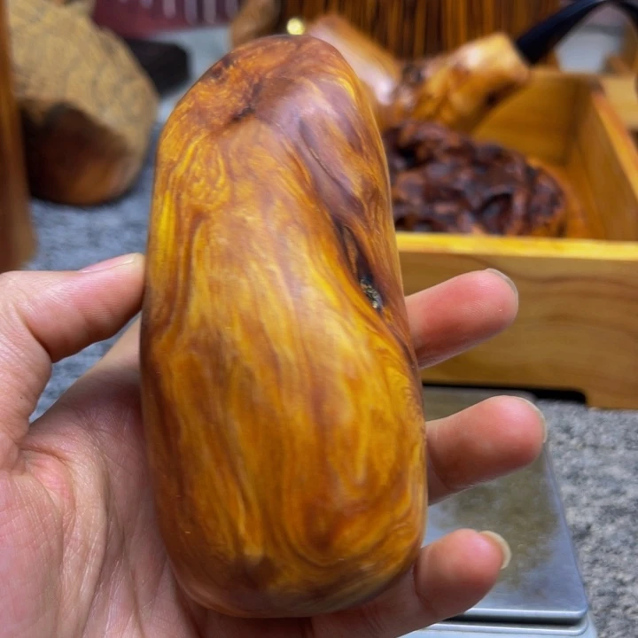 柏木（崖柏）崖柏99