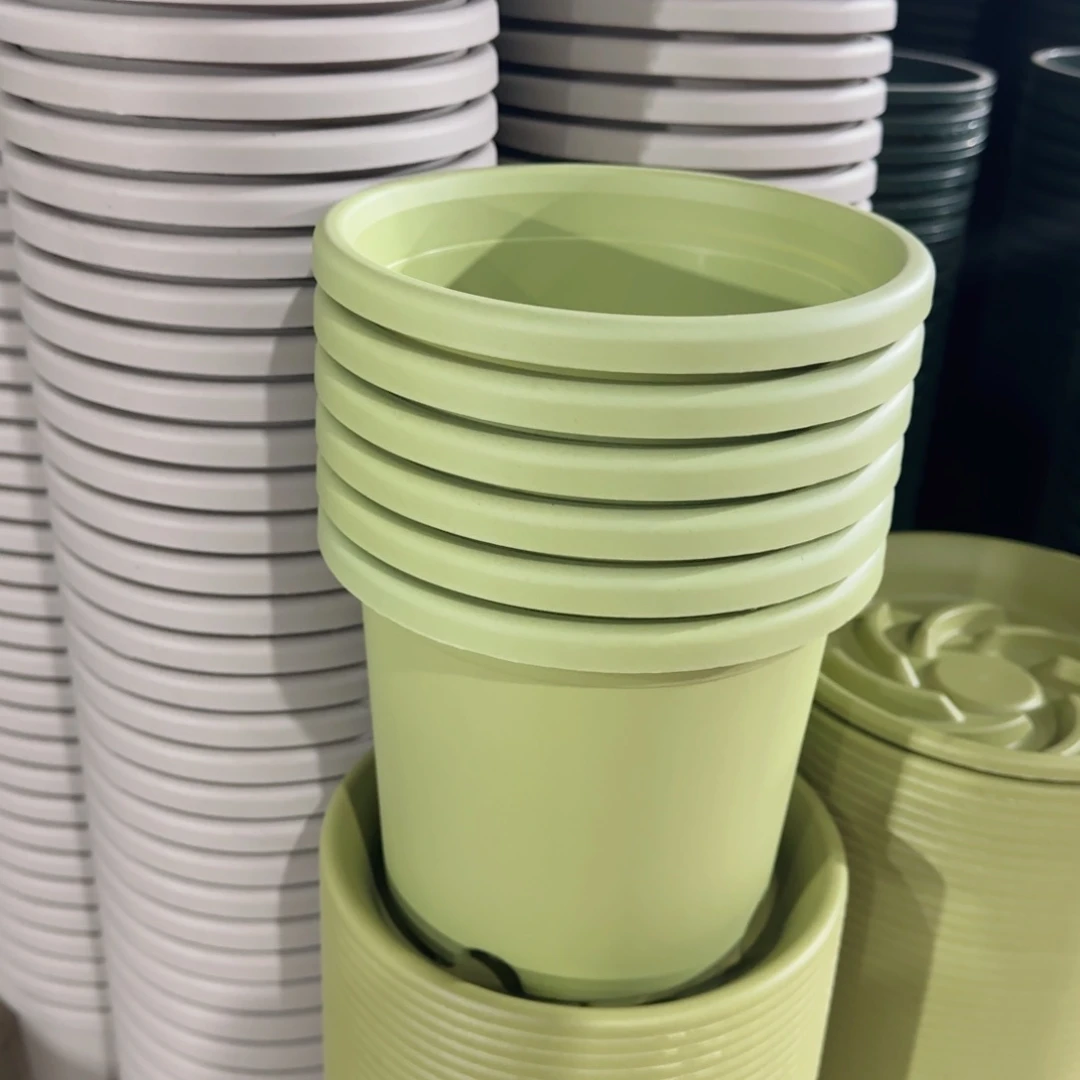 塑料四季2号果绿6个带拖