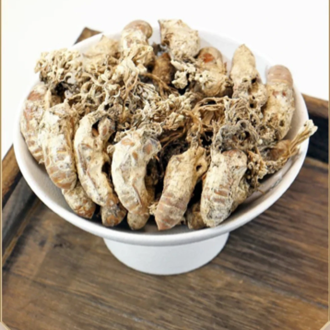 老乡干货  金蝉花 7天无理由包退包换