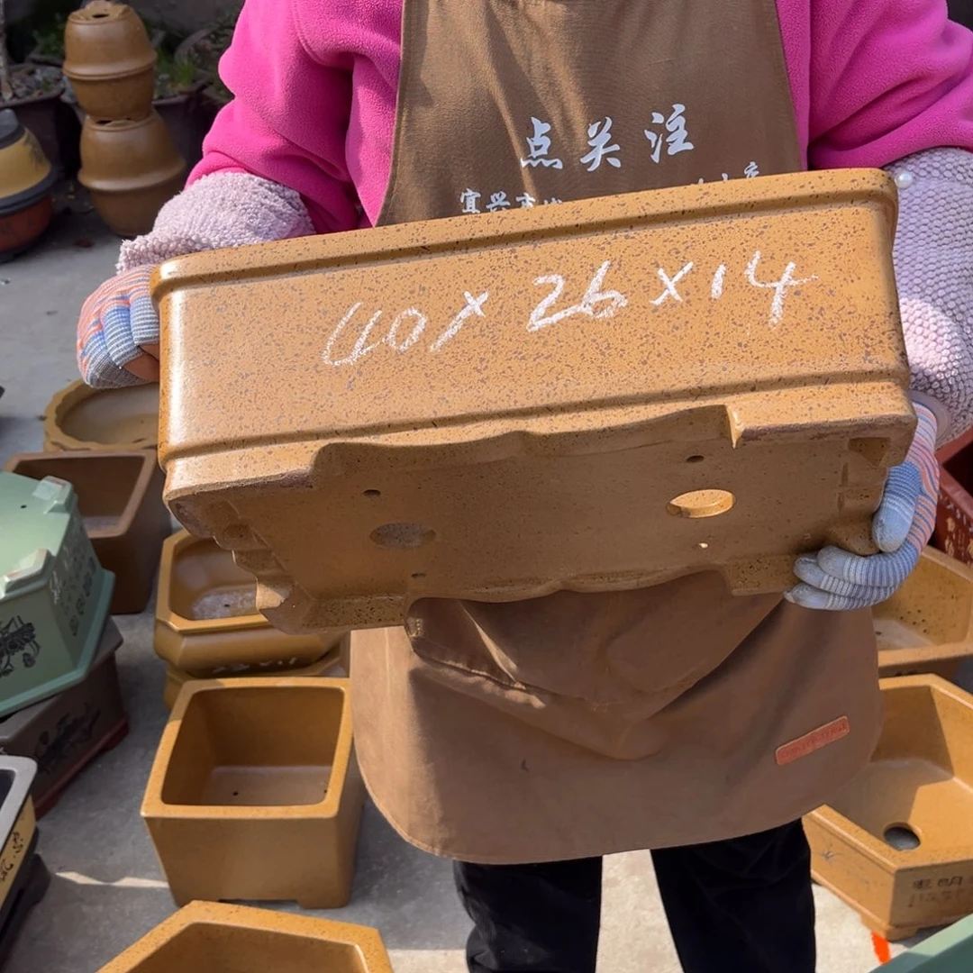 紫砂花盆盆景艺术