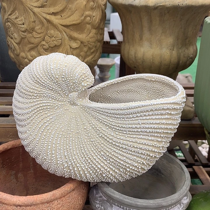 红陶高19宽23口12