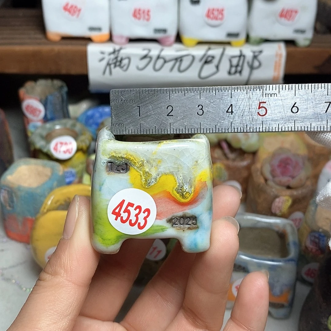 红陶拍5送一个小