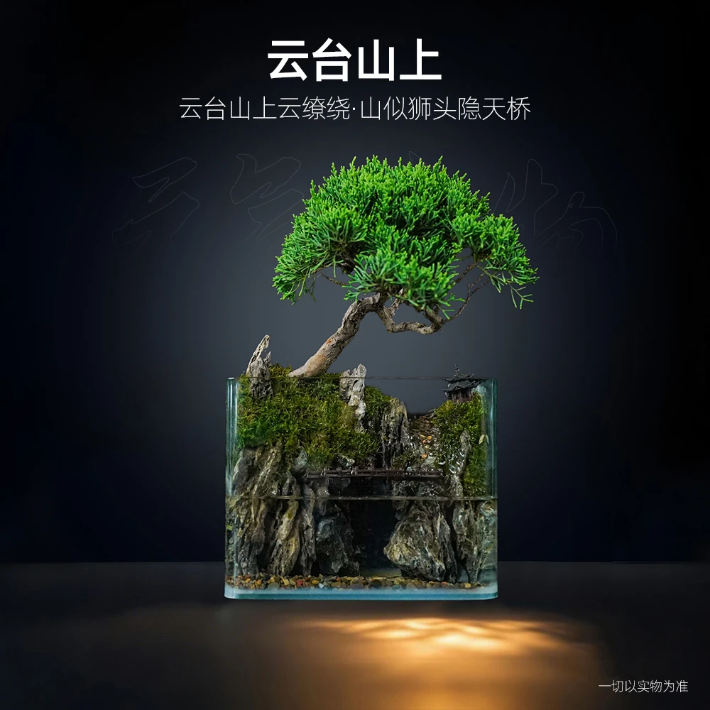 【仙】云台山上—带灯内循环流水生态济州真柏真植物【尺寸：20*14*16】