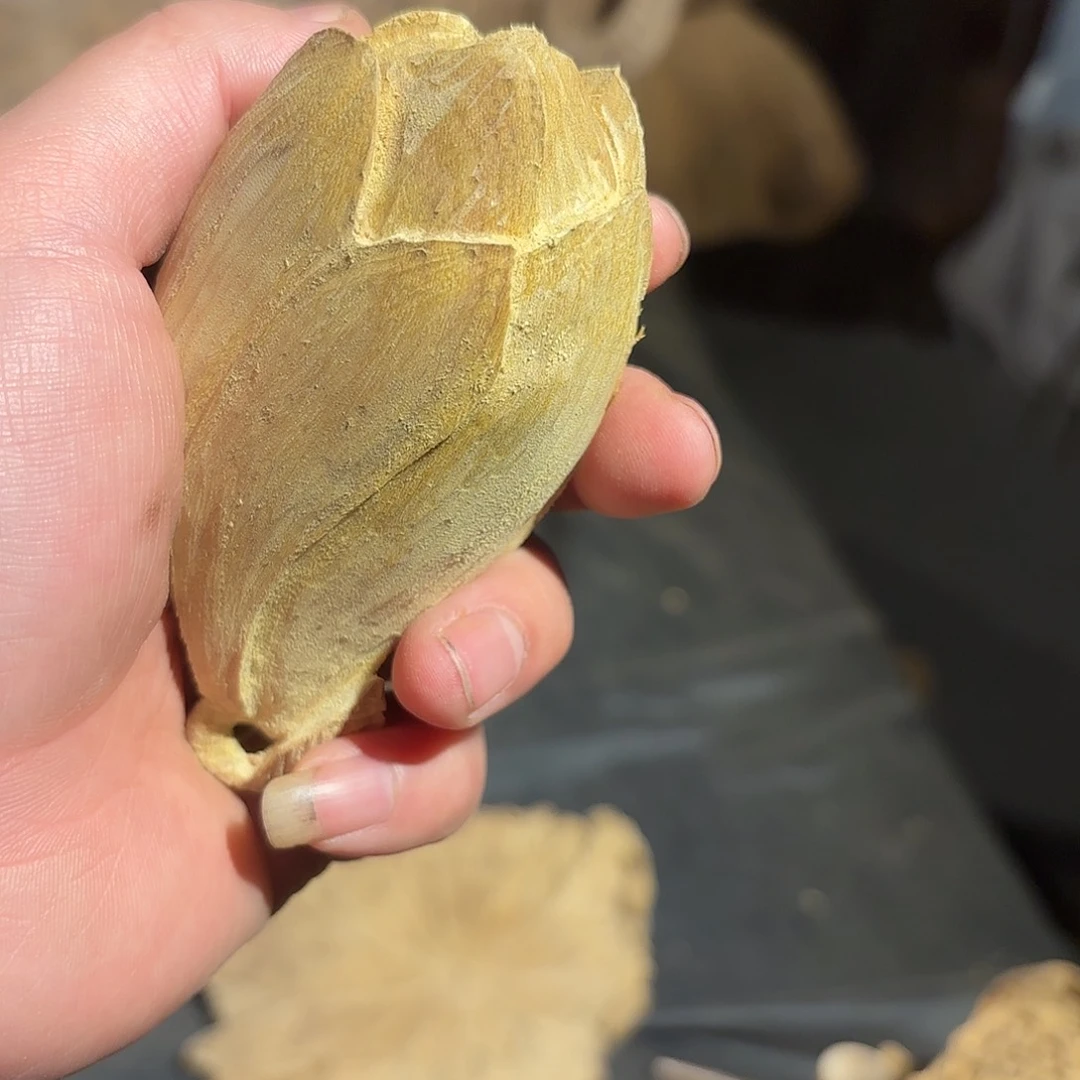 金丝楠丽*金丝楠木枯木