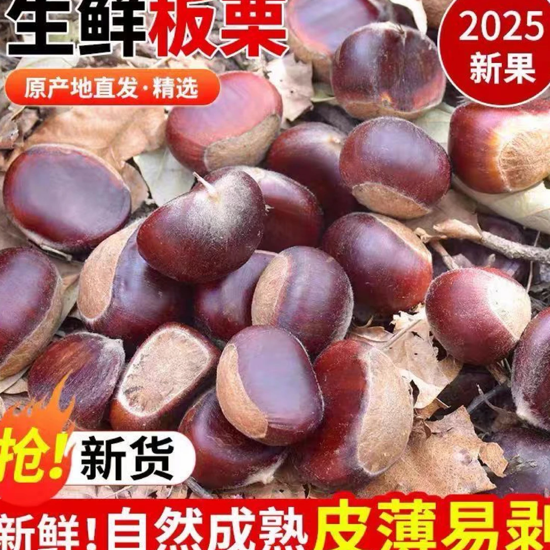 (小丫家）云南高山半野生新鲜鲁母油板栗自然成熟人工捡果香甜软糯