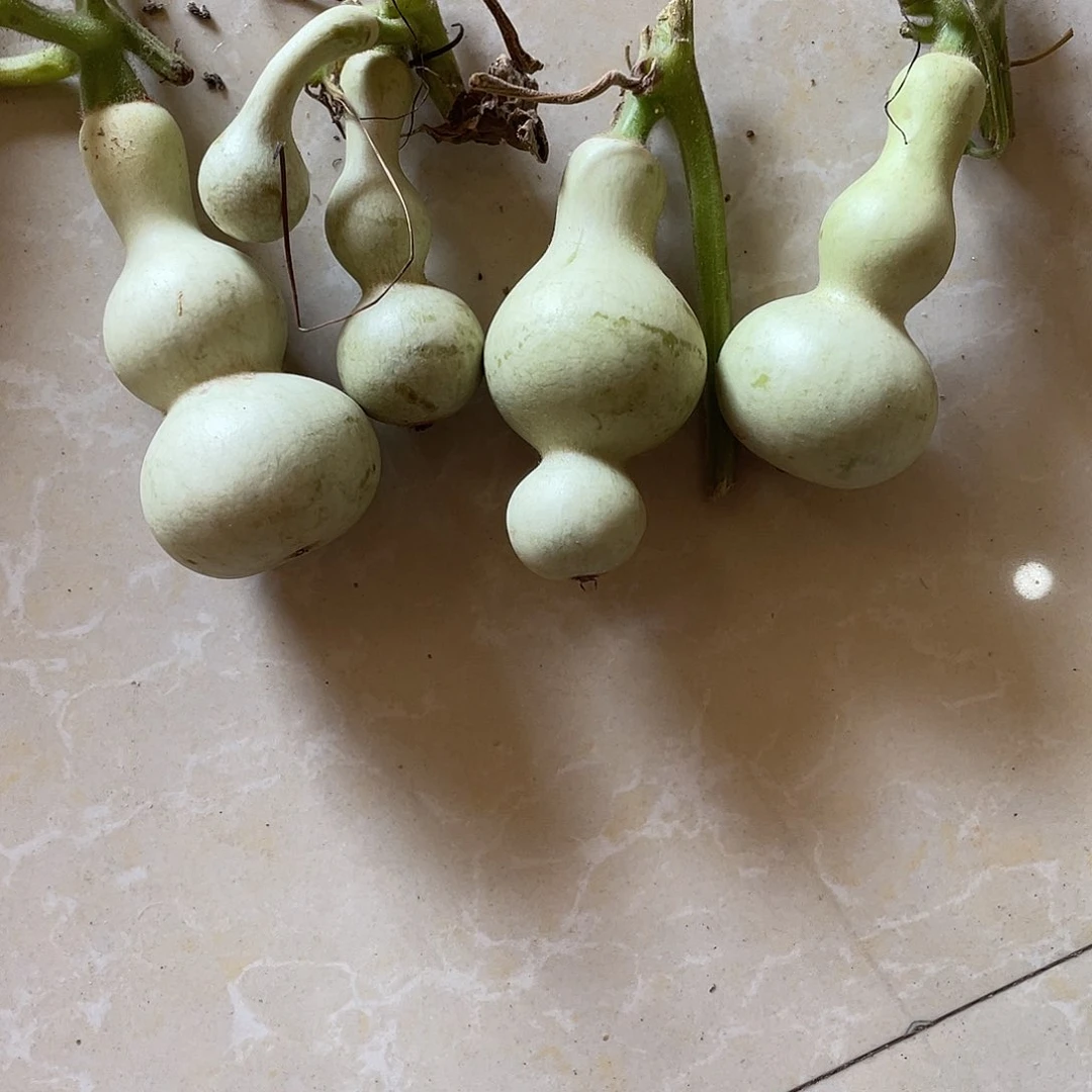 丢****丢精品葫芦精品葫芦