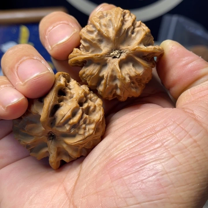 核桃手串/手链41苹果