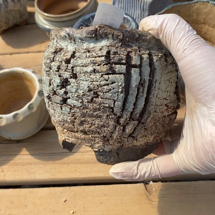 红陶༻****༺24号多肉盆一个呀