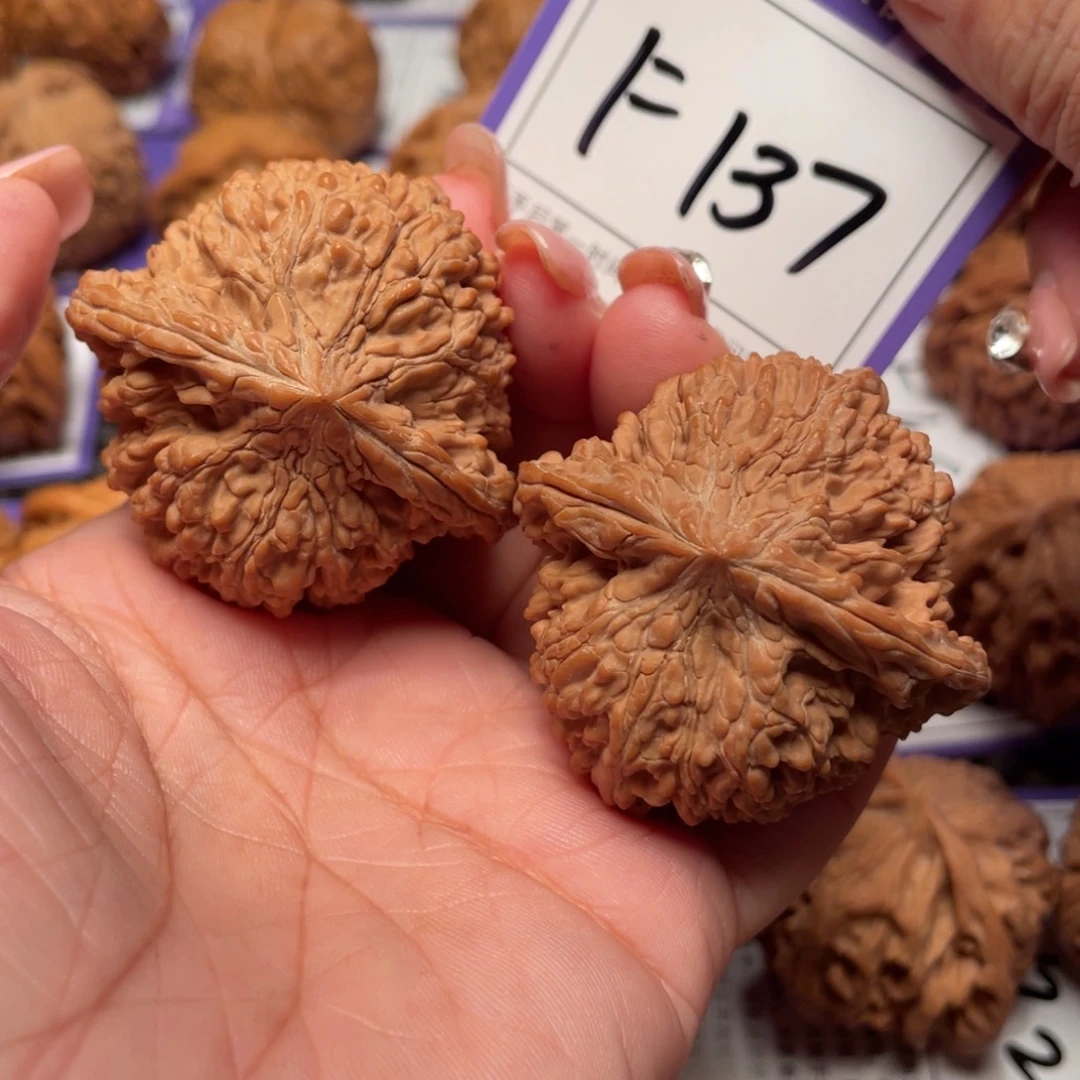 把件桃核137号满天星47