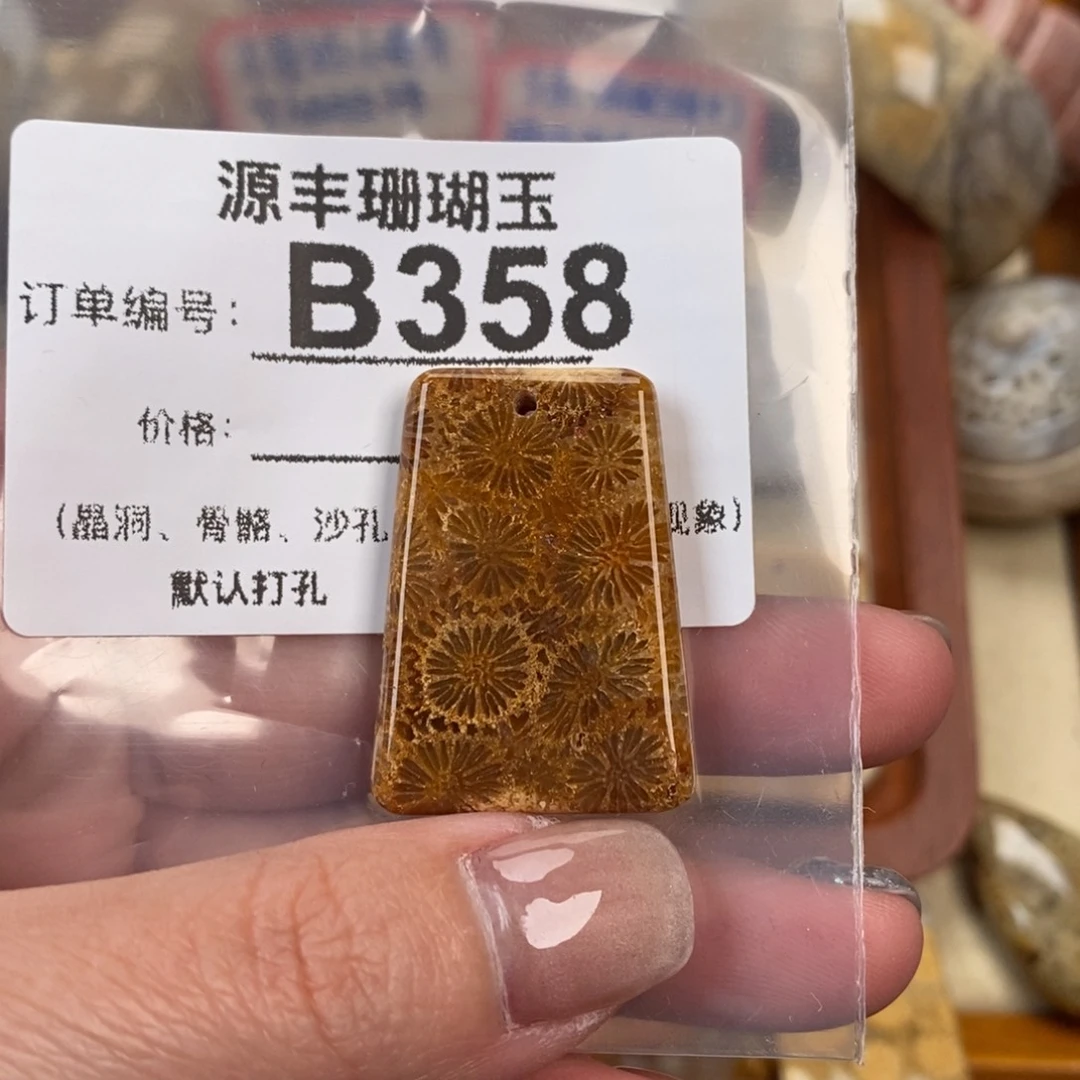 硅化玉颈饰未镶嵌小*