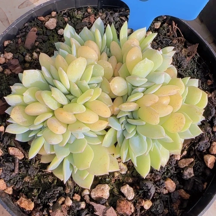 一****获3号耕耘福利111111111