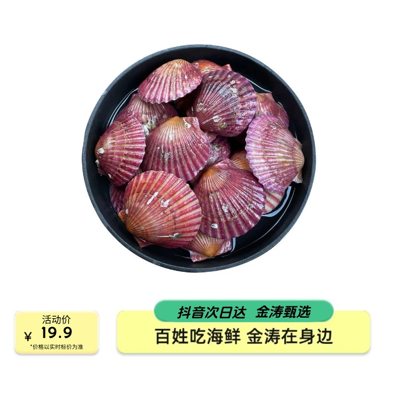 【福利产品】鲜活红扇贝 3斤19.9 鲜活发货 京东顺丰次日达