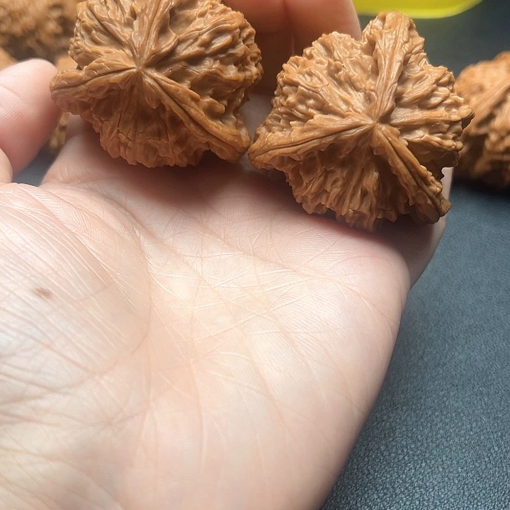 核桃44尺白狮子拼接三棱