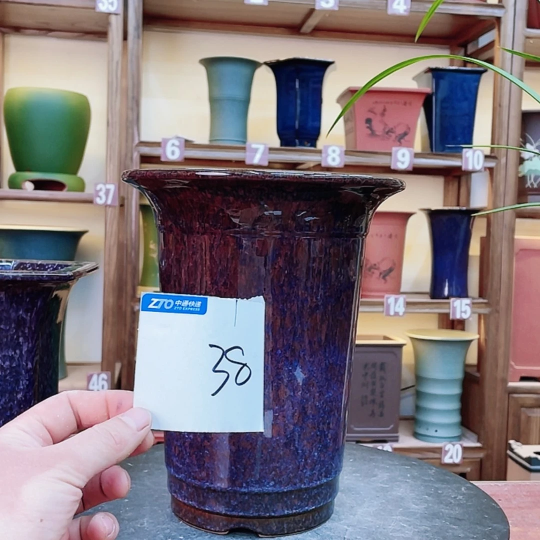【闪购商品】紫砂花盆平*兰花455584558858888588