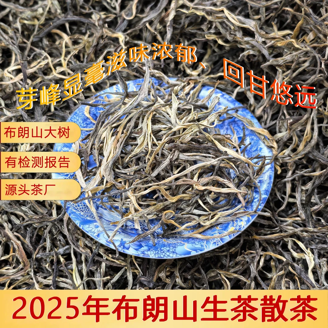 2025年·老曼峨散茶500克/包生茶 霸烈阳刚 涩尽七分香 苦退十日甜
