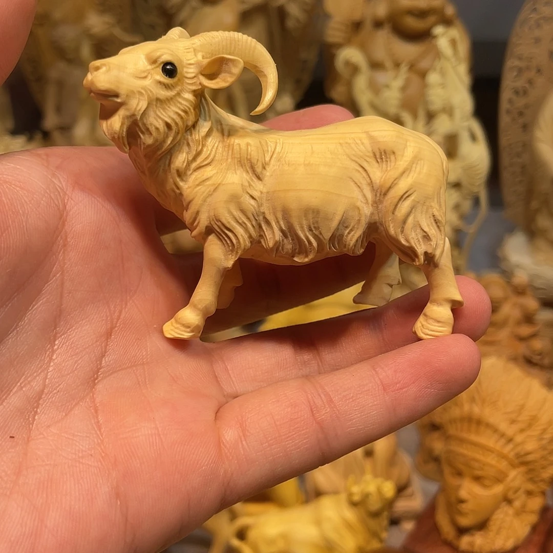 黄杨木黄杨木领头羊