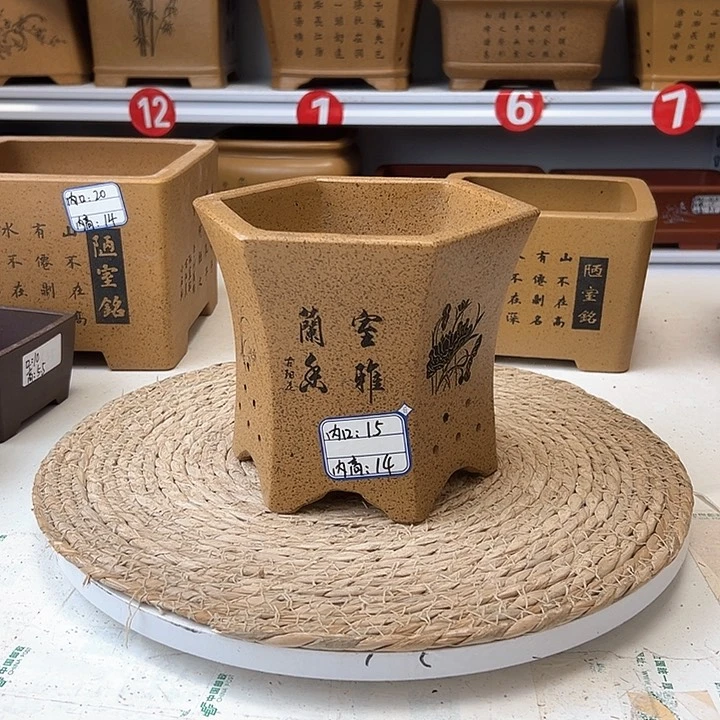 紫砂花盆蛇年大吉