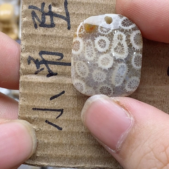 颈饰未镶嵌硅化珊瑚（珊瑚玉）s*浪