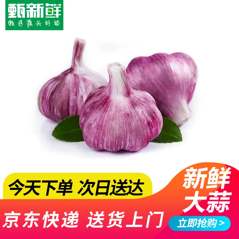 新鲜大蒜250g±10g京东快递包邮到家