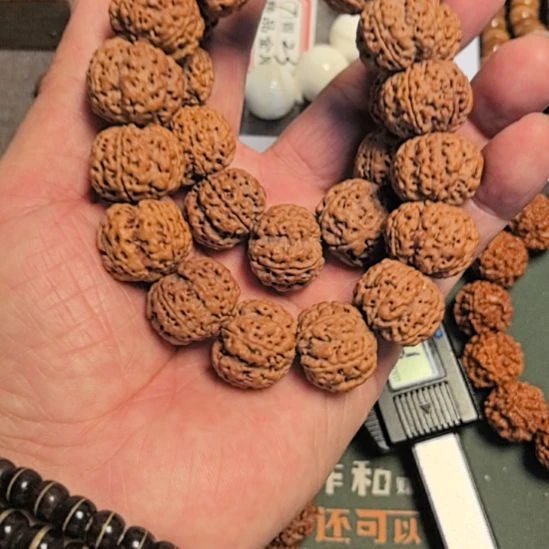 金刚菩提手串粗筋梅花大金刚手串，20左右尺寸，原皮原色
