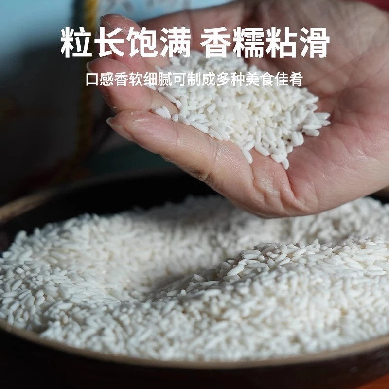 农家  自种  糯米