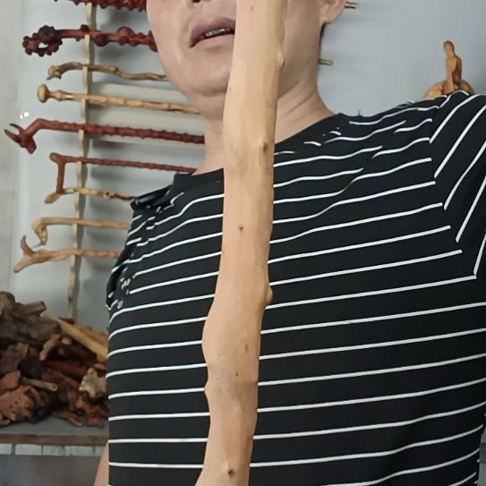 军***香榧木高山 檬子木文玩料