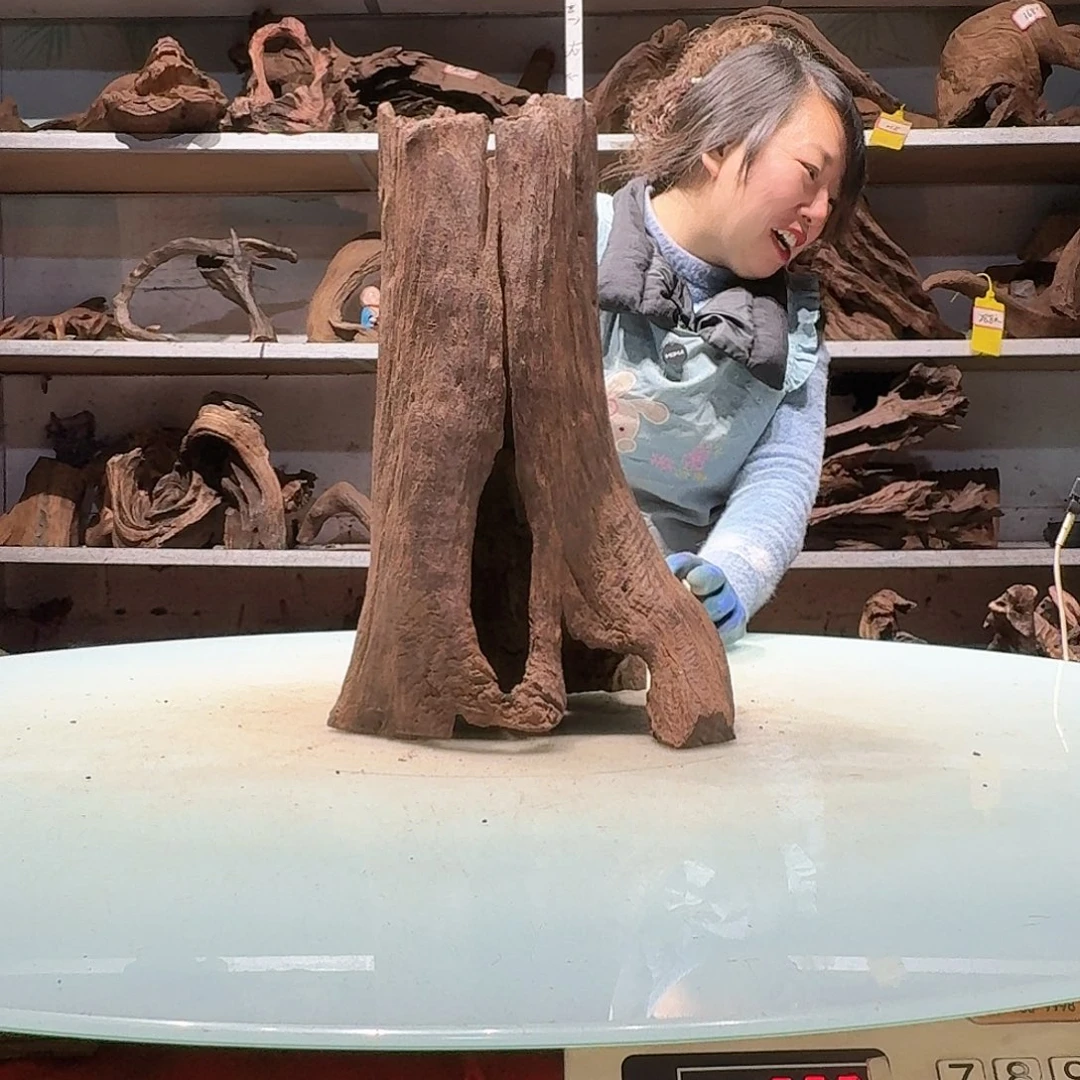 倍诸沉木不包损必褪色用****96478